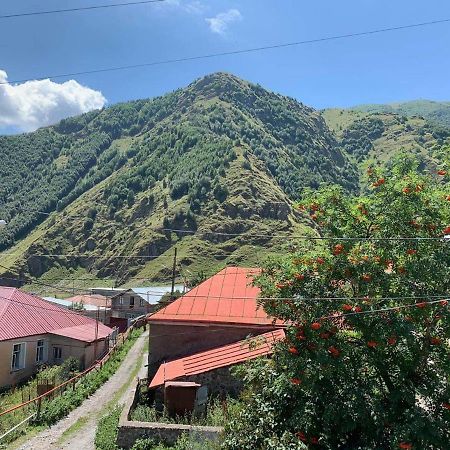 Tamila Guest House Kazbegi Exterior foto