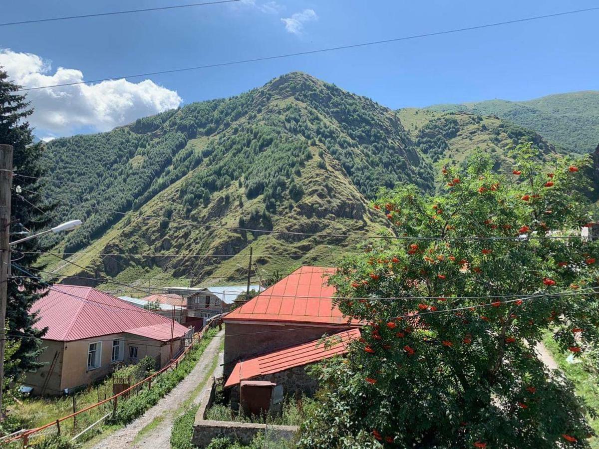 Tamila Guest House Kazbegi Exterior foto